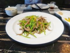 香菜梗泡椒炒肚丝-泰河谷·豆捞
