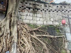 -成都市活水公园