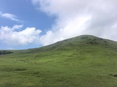 -大姆山草场