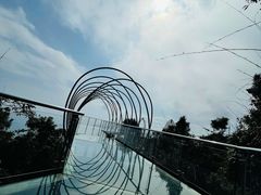 -亚龙湾热带天堂森林公园