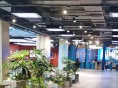 -凯德MALL(望京店)