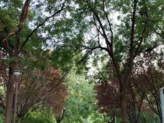 -元大都城垣遗址公园