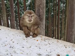 -太阳湾风景区