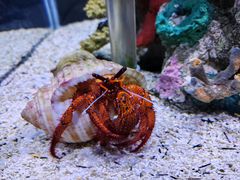 -太平洋海底世界