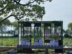 -无锡蠡湖国家湿地公园-蠡园