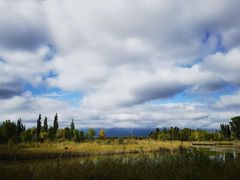 -野鸭湖国家湿地公园