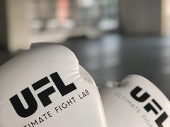-EFL巴西柔术·综合格斗·泰拳·少儿体能训练(虹桥德必馆)