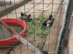 -昆明春城湖畔度假村