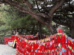 -香山公园