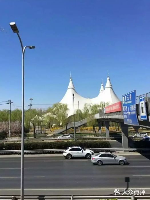 cavalia·舞马图片