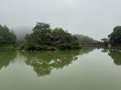 -广州白江湖森林公园