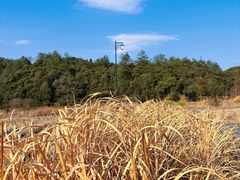 -小格里自然风景区