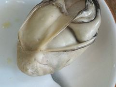 -濠轩阁特色生蚝火锅(水湾路店)