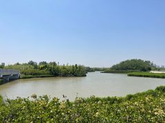 -塘沽森林公园