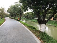 -长洲岛
