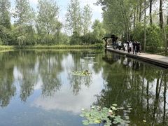 -溱湖国家湿地公园