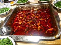 -龙森园火锅(琴台路店)