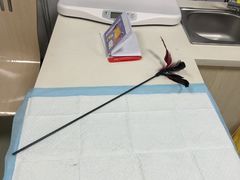 -美美宠物诊疗中心·异宠·骨科(滨江东信分院)