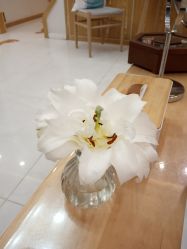 -慈蕊美容养生·专业经络调理