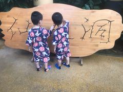 -沈阳龙润夏宫温泉水乐园