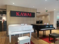 -柏斯音乐艺术中心·钢琴·吉他(上音店)