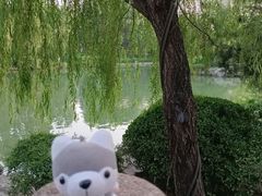 -济南大明湖景区