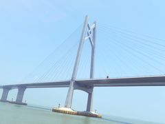 -招商蛇口邮轮母港(观光客运)