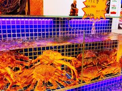 -必点海鲜·鲅鱼水饺(鞍山西道店)