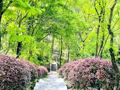 -南京市江宁方山