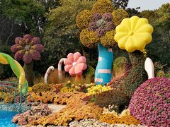 -上海共青森林公园