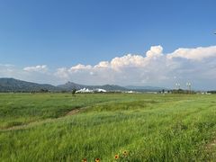 -敕勒川草原