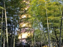 -阿育王寺