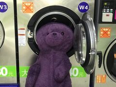 洗好后熊-段先生洗衣家政(钦州北路店)