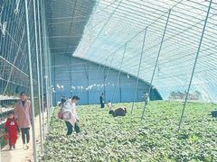 -瑞思少儿中心·少儿英语素养启蒙(勒泰直营校区)