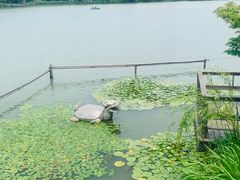 -昆山城市生态森林公园