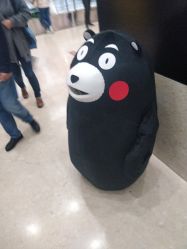 -复旦大学附属妇产科医院(杨浦院区)