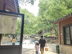 -东明山森林公园