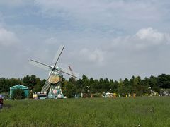 -荷兰花海