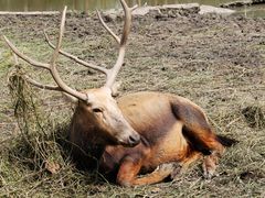 -溱湖国家湿地公园