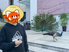 -西昌邛海宾馆