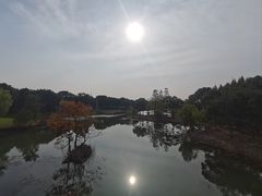 -尚贤河湿地
