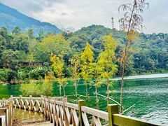 -广州市流溪河国家森林公园