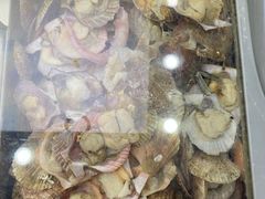 -星海汇海鲜自助烤肉火锅(百大店)