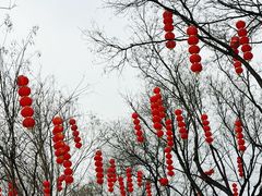 -太原动物园
