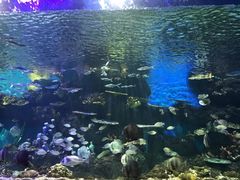 -华夏文旅海洋公园