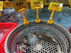 -79号渔船海鲜饭店(宝安店)