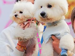 -上海神旺大酒店