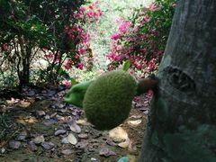 android_upload_pic-大沙河公园