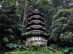 -深圳国际园林花卉博览园