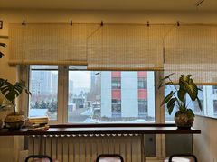 -阿九笨鸡蛋手擀面(总店)